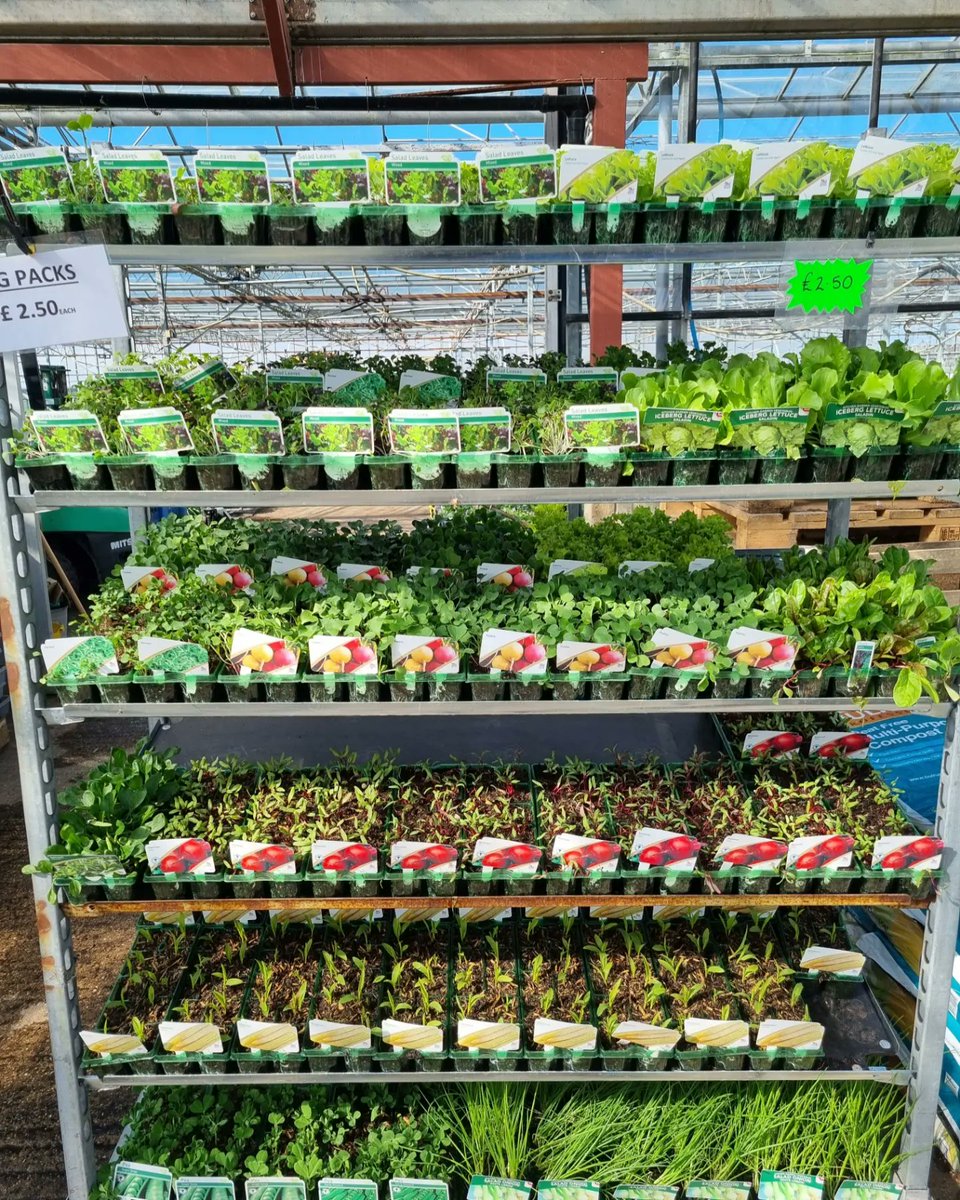 ChansonFlowers's tweet photo. We have had another fresh delivery of Vegetable  packs 🥕 

A great selection to choose from!

£2.50 each ✅️ 

Chanson Flowers 
Nut Lane
Wrangle
Boston 
Pe22 9JF 

OPEN 7 DAYS A WEEK 🌷

#growyourown #vegplants #lincs #garden https://t.co/MCtgwDK1OQ