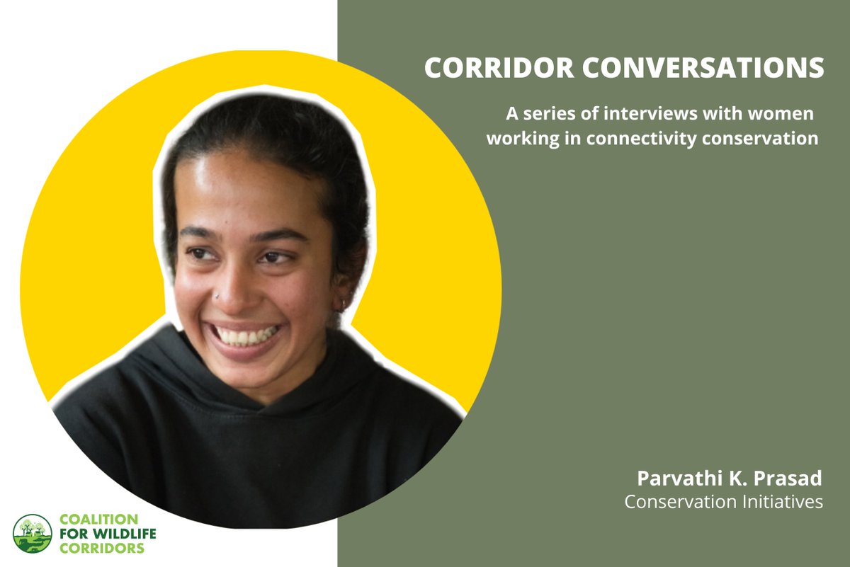 cocoforwild's tweet photo. "It is encouraging to see research translating into policy or conservation actions, and to know that efforts have paid off." @ParvathiKPrasad
Catch the latest episode of #CorridorConversations with Harshad Sambamurthy here: https://t.co/7qJ1g4IXEi https://t.co/25tBL08hqW