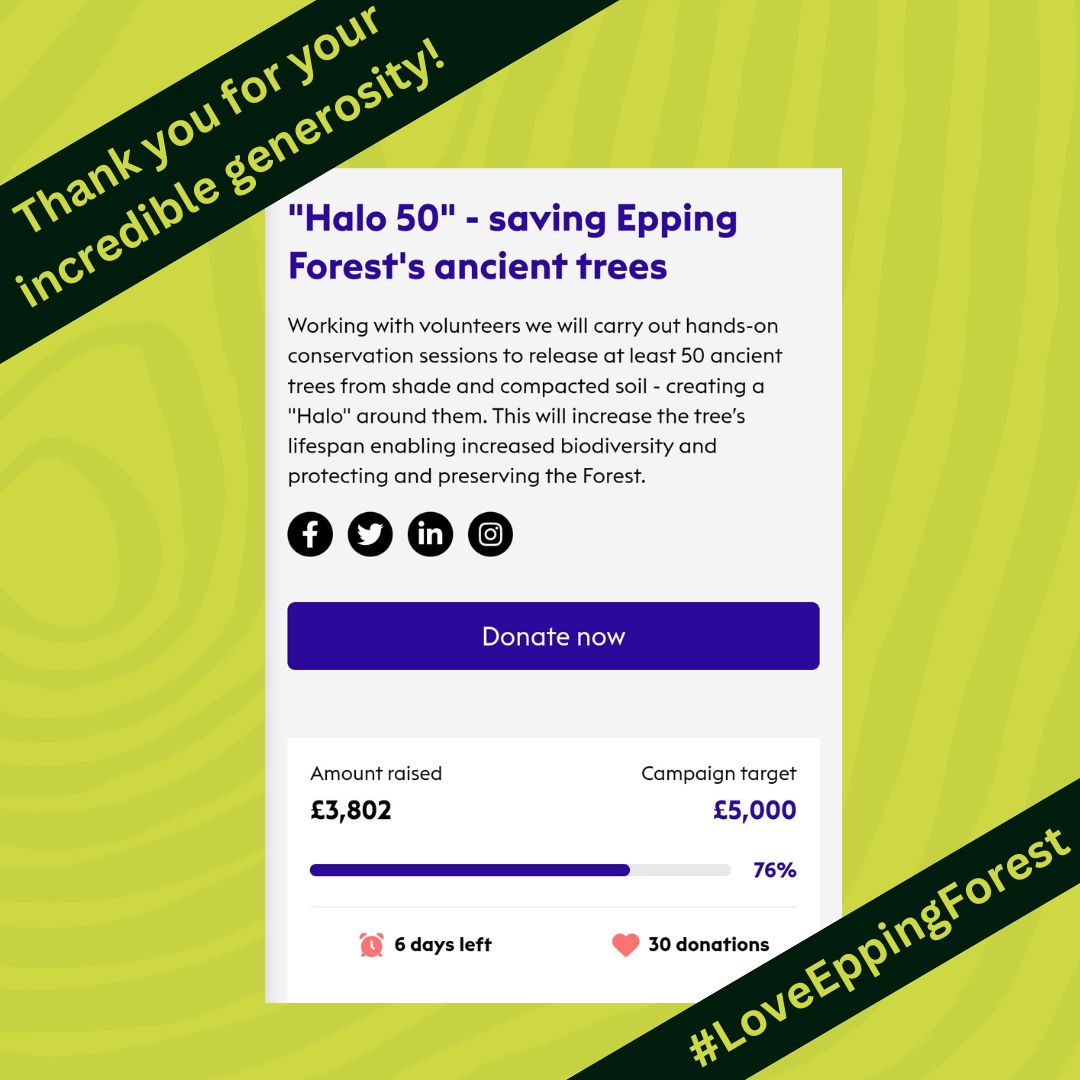 We are absolutely touched! Thank you all for your incredible generosity & your love for #EppingForest! You have helped us to reach 76% of the target in less than 24 hours since the launch of #GreenMatchFund @BigGive #LoveEppingForest & its amazing community beyond words. #BigGive