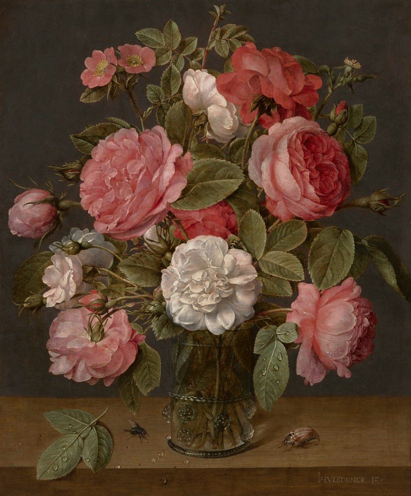 sophrisyne's tweet photo. paintings of roses by Jean-Baptiste Robie and Jacob van Hulsdonck https://t.co/UrKaGxNrS3