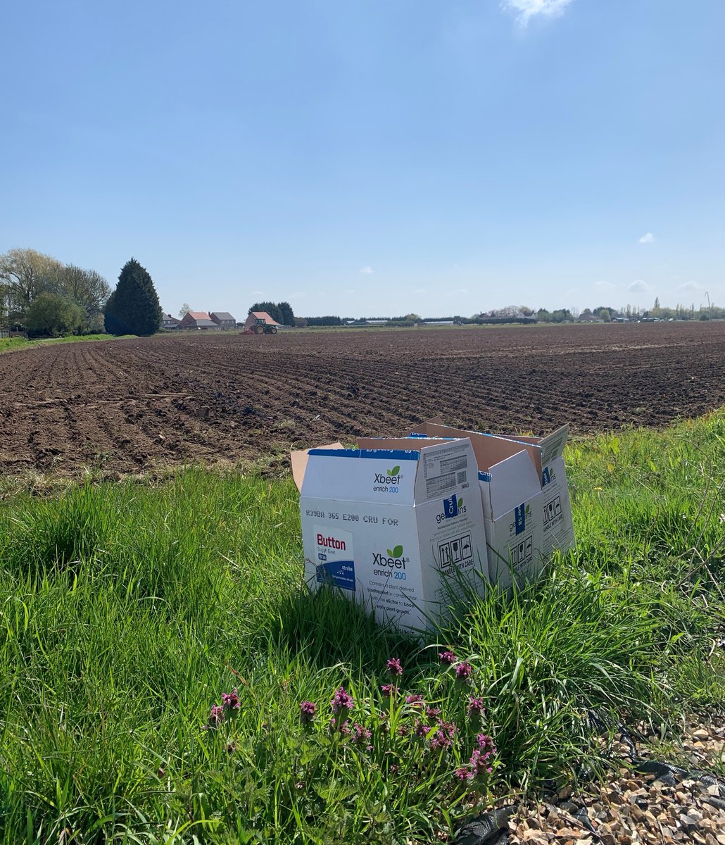 GermainsUKBeet's tweet photo. Great to see Xbeet enrich 200 out in action this week! Thankfully the weather has given growers a window for drilling and it's all systems go for Norfolk farmers E W Bell. ☀️🚜
#SugarBeet #Xbeet #BritishSugar https://t.co/RSpz0CvQ37