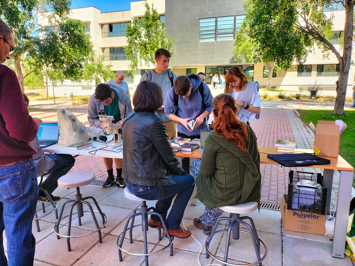urjc's tweet photo. Ayer, en el campus de Móstoles, se celebró el I Bioblitz URJC, un maratón de biodiversidad para identificar todo tipo de especies animales y vegetales. 
Han participado 65 personas, repartidas en 16 equipos. 
@ofiverdeURJC @BiodiversosU @rsu_urjc https://t.co/nvUCRfZwfU