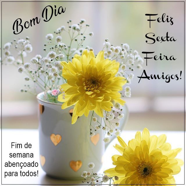 JorgeIssa6's tweet image. Ótimo feriado 🙏🙌🇧🇷🌹