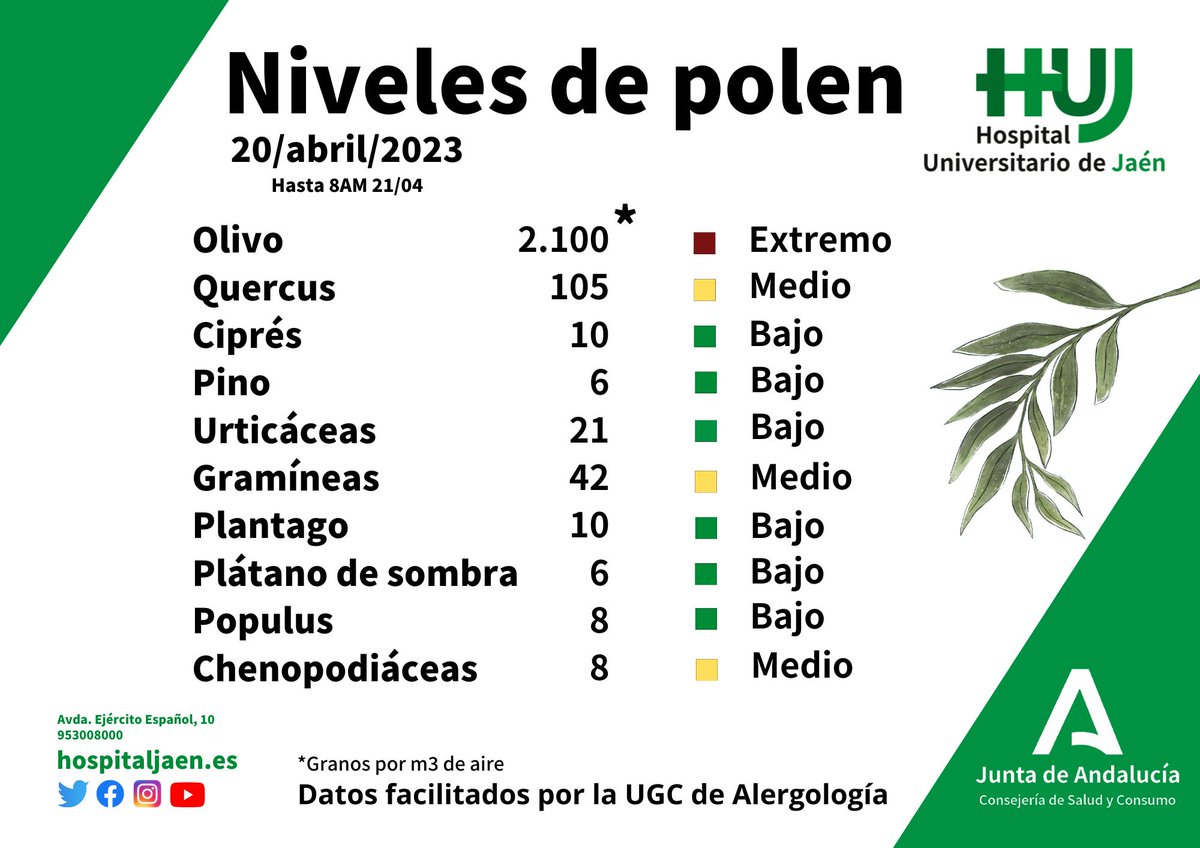 HospitalJaen's tweet photo. 🌼🌲Niveles de #polen en el aire 20/04/2023 (hasta las 8 de esta mañana) 

El polen de #olivo se dispara y hoy la medición de la Unidad de #Alergología del @hospitaljaen ya identifica 2.100 granos por metro cúbico de aire. El del resto de especies se mantiene estable.
#HUJsemueve https://t.co/mrDsdzUh4z