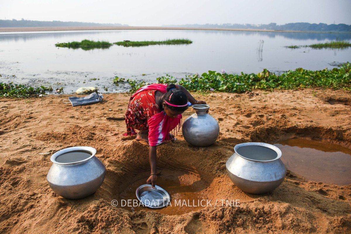 ddmallick's tweet photo. With searing #heatwave making lives miserable in the state, people from a slum collect water from sand pits for consumption on the bank of Kuakhai river near Mancheswar in #Bhubaneswar

@NewIndianXpress @XpressOdisha https://t.co/Xy45SYUuGq