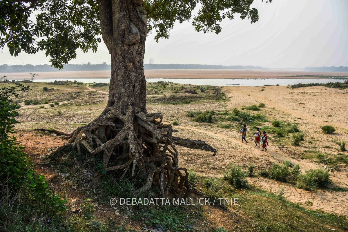 ddmallick's tweet photo. With searing #heatwave making lives miserable in the state, people from a slum collect water from sand pits for consumption on the bank of Kuakhai river near Mancheswar in #Bhubaneswar

@NewIndianXpress @XpressOdisha https://t.co/Xy45SYUuGq