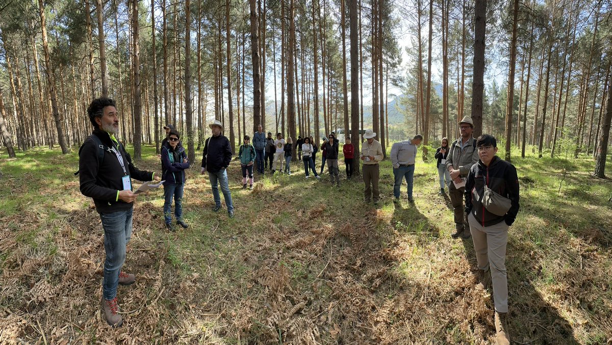 YoungForesters's tweet image. 📍 Second stop Velilla del Río Carrión 

📢 Conference #ArtificialIntelligence and Ecosystems Management
#SMARTGlobalEcosystems #somosIUFOR #SoyForestal #AI