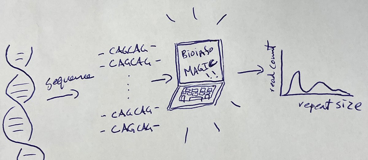 We're hiring a bioinformatician!

#longread sequencing of expanded tandem repeats! #Huntingtonsdisease #myotonicDystrophy #GeneEditing

In Cardiff!
Contract until March 2028!

Closing date: May 2nd
tinyurl.com/bddbv3mw

Re-tweet!