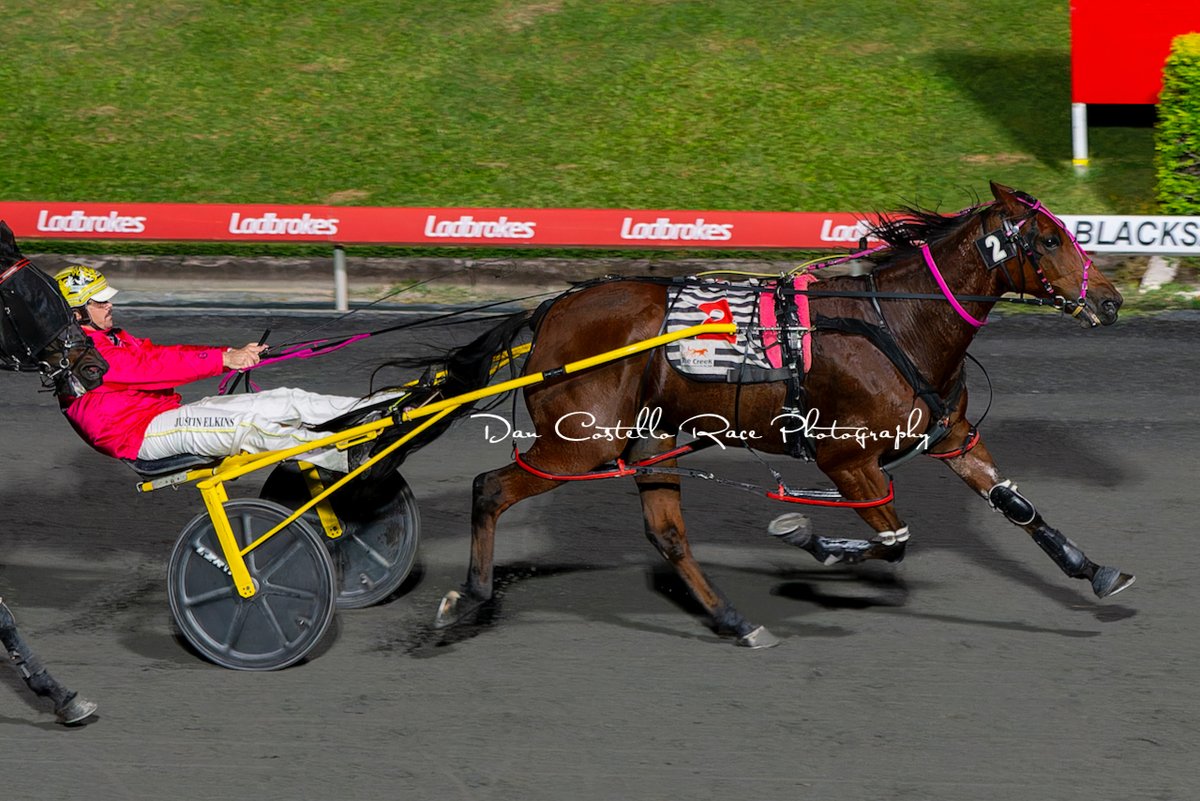 TheCreekAlbion's tweet photo. Race 2 A ROCKNROLL DANCE @somerset_farms Pace won by the @geeson_gail trained Fire And Ice with @Justin_elkins99 driving https://t.co/3hhY85nads
