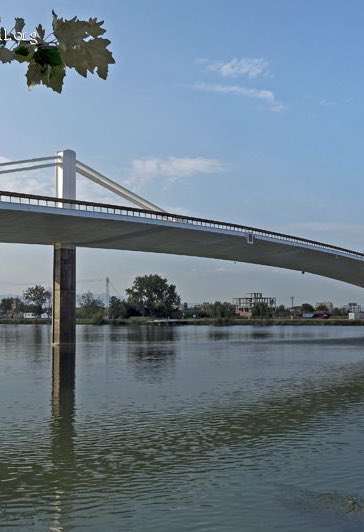 Bertiresurrect1's tweet photo. Delta del ebro preciosoo 😍🌾 https://t.co/xbEjt6dY9x