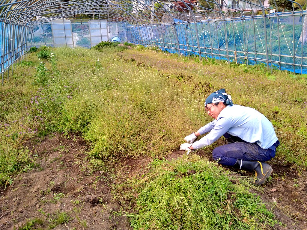 ito_san_ito_san's tweet photo. 今日も今日とて開墾👨‍🌾
耕したり草取ったりの毎日。地道な作業をコツコツやっていると、改めて現場感の大切さを痛感する。地域活性化・地方創生・まちづくり。口で言うのは簡単だけど、このリアルな大変さを知らずして本質を語ることはできないと思う。「本物は現場にいる」。だから僕は畑を開墾する。 https://t.co/291qmLJQNn