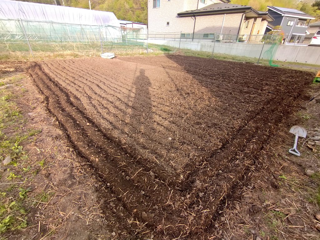 ito_san_ito_san's tweet photo. 今日も今日とて開墾👨‍🌾
耕したり草取ったりの毎日。地道な作業をコツコツやっていると、改めて現場感の大切さを痛感する。地域活性化・地方創生・まちづくり。口で言うのは簡単だけど、このリアルな大変さを知らずして本質を語ることはできないと思う。「本物は現場にいる」。だから僕は畑を開墾する。 https://t.co/291qmLJQNn