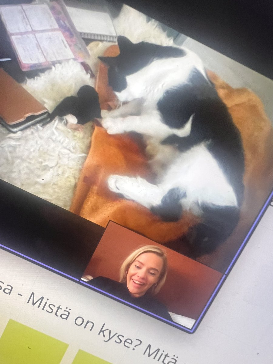 Saara Utti tweet media