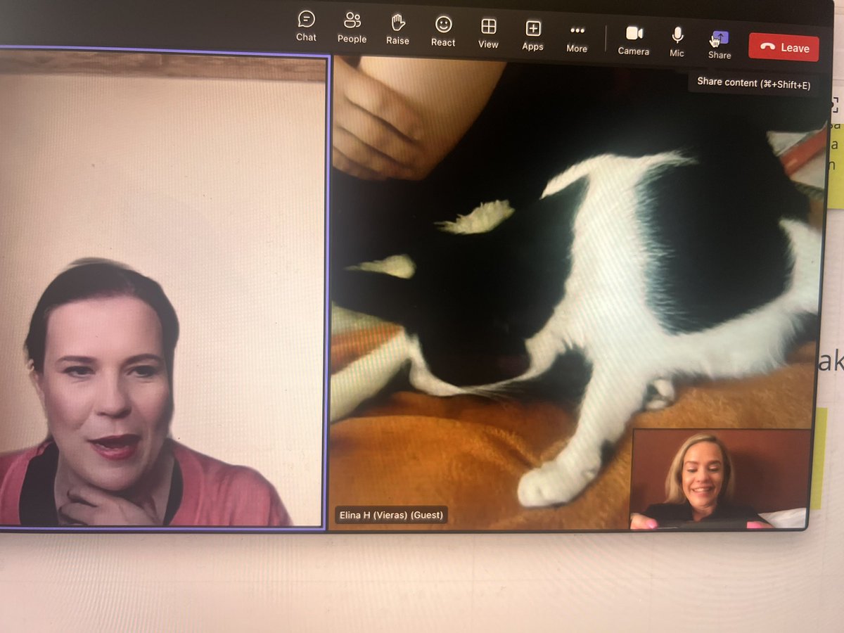 Saara Utti tweet media