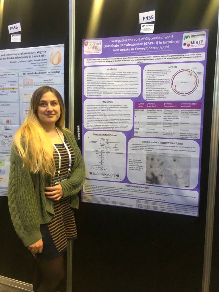 molly_webster23's tweet photo. Happy to have presented two major parts of my Campylobacter iron uptake PhD project at #Microsoc23. Thank you to everyone who came over and talked with me about my work. Now to start writing some papers! https://t.co/XVI2sqHRsL