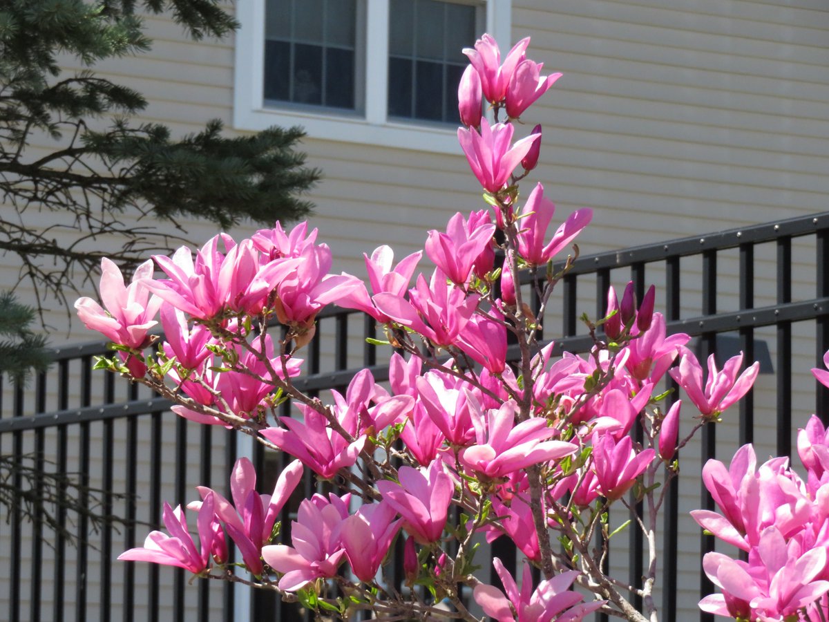 PLKlein_Author's tweet photo. "Love is not only something you feel, it is something you do." ~ #DavidWilkerson #thinkingoutloud #quickquotes #FridayFeeling #Love #SomethingYouFeel #SomethingYouDo https://t.co/9aQERI38oD