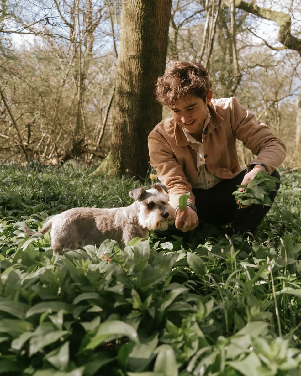 itsjackmiles's tweet photo. 'I went to the woods because I wished to live deliberately'
- Henry David Thoreau

Can't beat spring sunshine foraging wild garlic in the woods ☀️ https://t.co/5OoO8BQ5ks