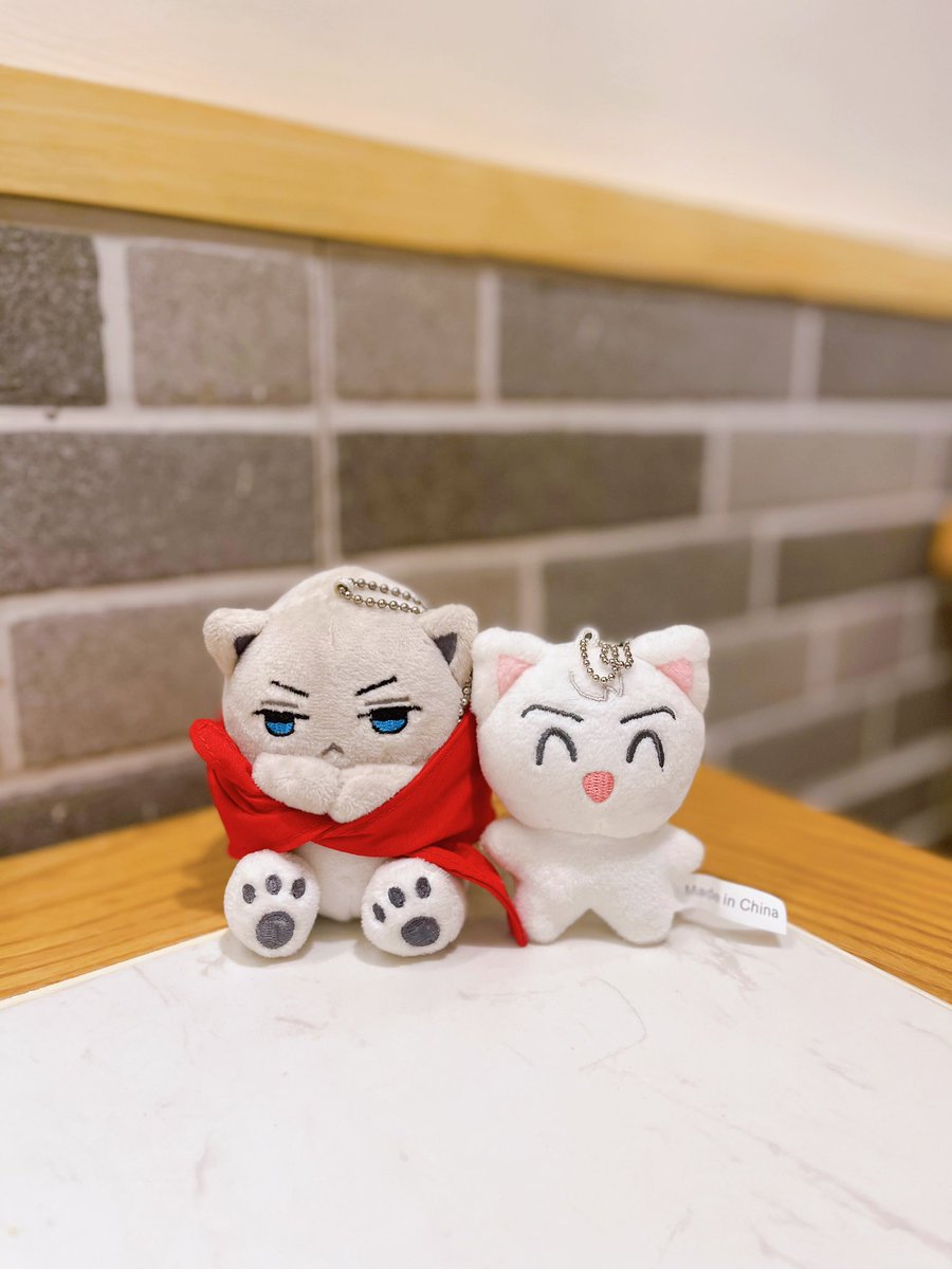 chesa ♡ tweet media