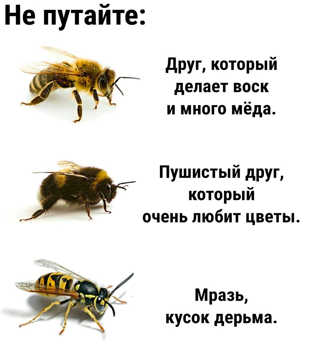 Пьяный Твиттер (@drunktwi) on Twitter photo 
