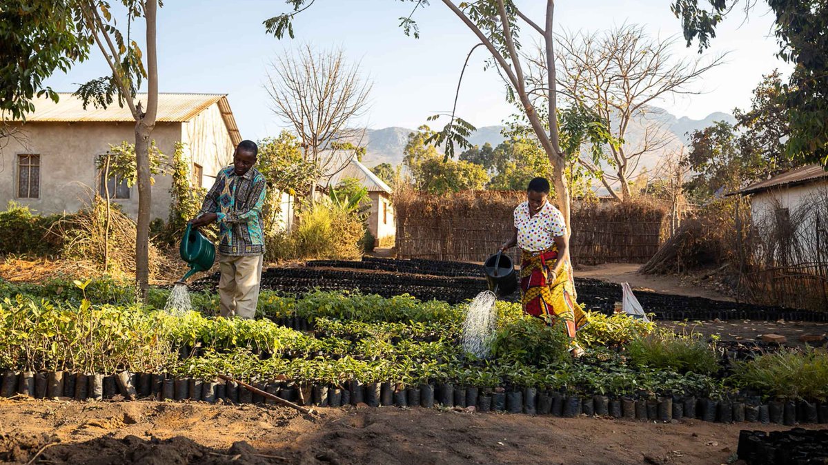 biovision_org's tweet photo. 💚🌿Invest in Our Planet! Tomorrow is #EarthDay. Let's work together to invest in a healthy planet, #sustainablefoodsystems. Proud to support agroecological enterprises for social + ecological development. Join us in making a positive impact: https://t.co/QH7SCdVD3y https://t.co/aSPwEI1DNn