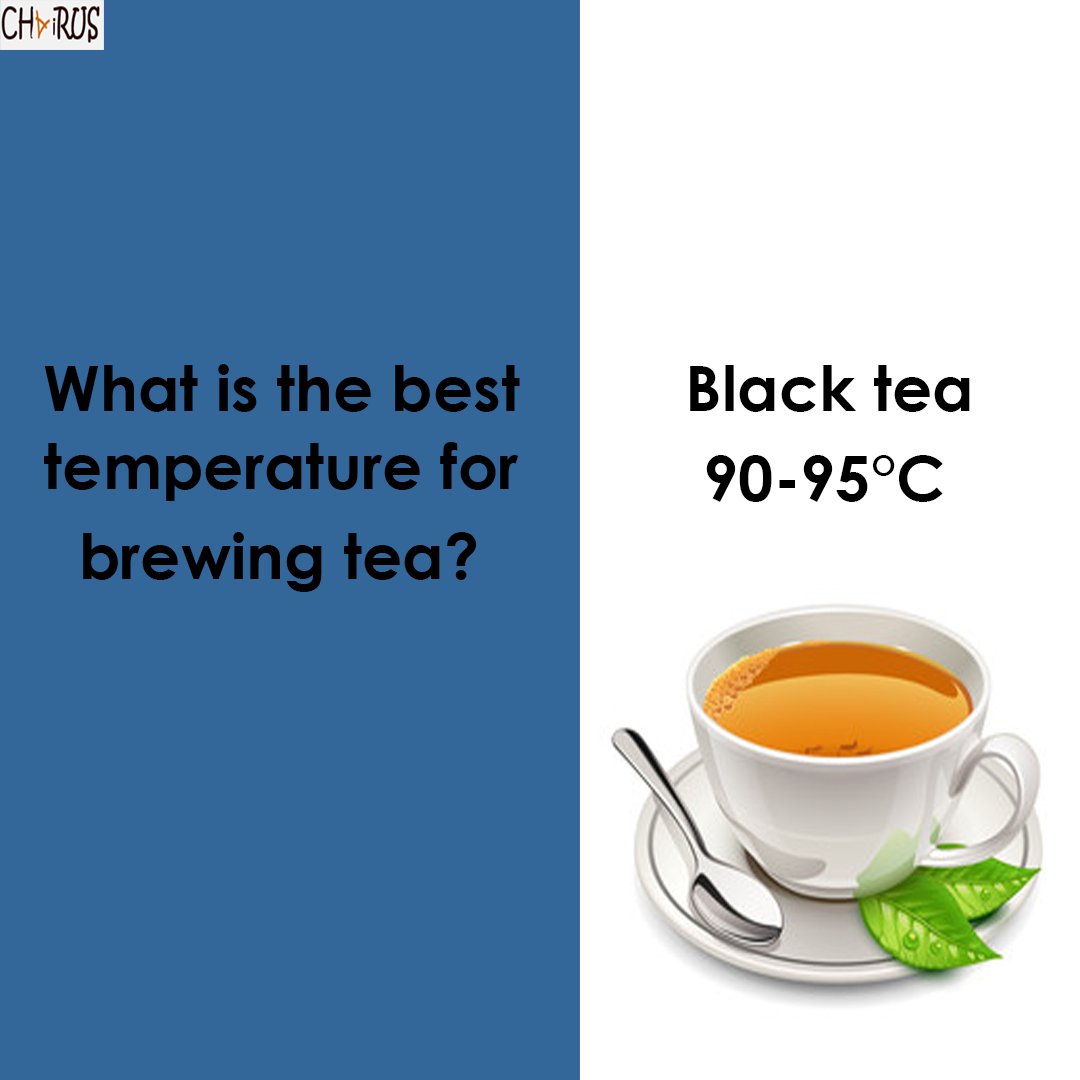 tweChairus's tweet photo. The best temperature for brewing tea ..

#blacktea
#teatemperature
#perfectbrew
#brewingtemperature
#teawater
#brewingtea
#hotwater
#teainfuser
#brewguide
#teaprep
#teatips https://t.co/WSVhxPZWTb