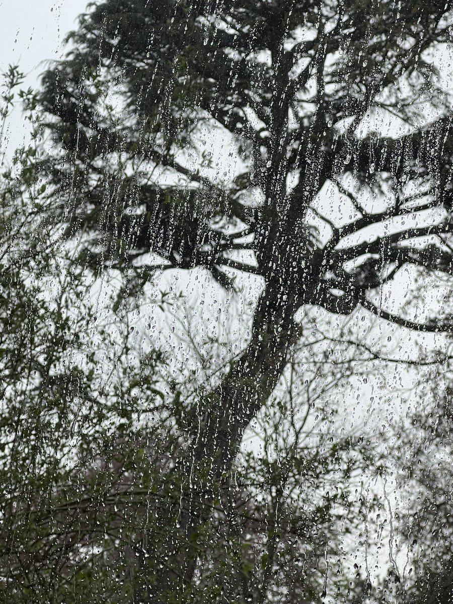 Tom Dyckhoff tweet media