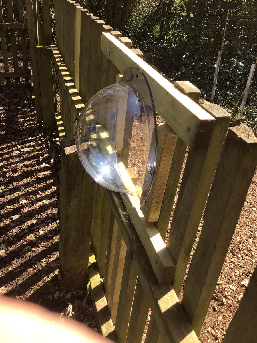 ForestSchBPS's tweet photo. We now have 2 viewing portholes installed around our pond so the children can get an excellent view through the fence. https://t.co/NHLJQ5u4z6