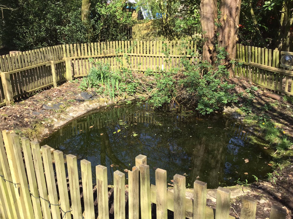 ForestSchBPS's tweet photo. We now have 2 viewing portholes installed around our pond so the children can get an excellent view through the fence. https://t.co/NHLJQ5u4z6