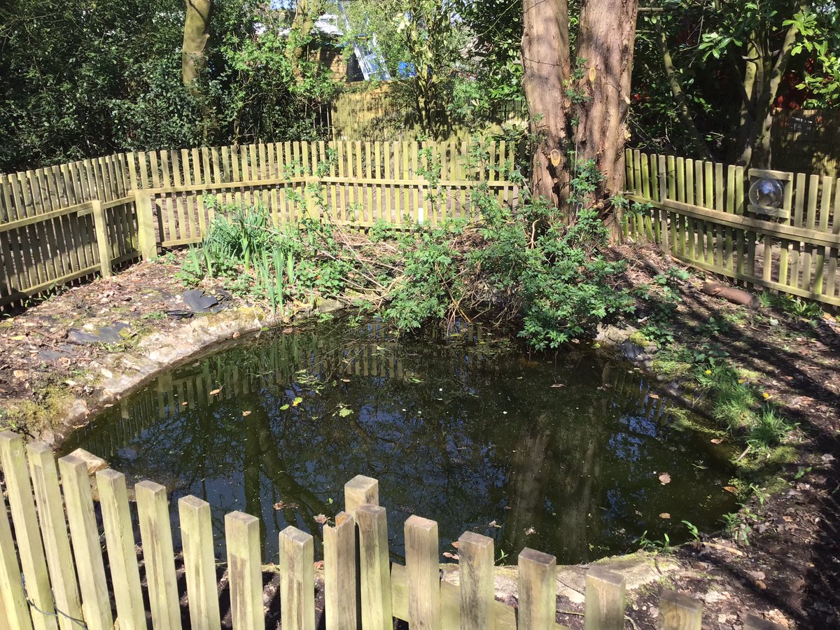 ForestSchBPS's tweet photo. We now have 2 viewing portholes installed around our pond so the children can get an excellent view through the fence. https://t.co/NHLJQ5u4z6