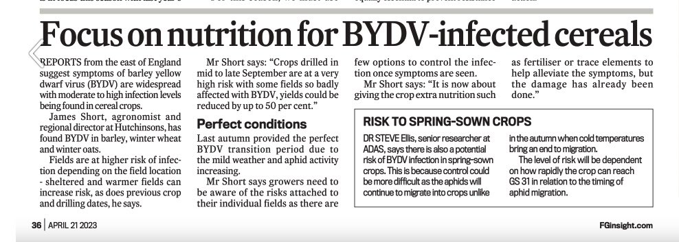 We have a ‘solution’ for this….Genserus, BYDV resistant wheat @Hutchinsons_Ag <a href="/ragtseedsuk/">RAGT Seeds UK</a>