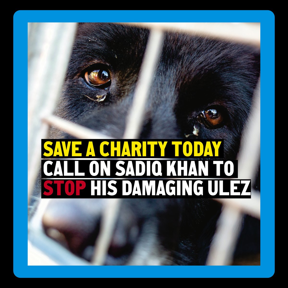 CityHallTories's tweet photo. Sadiq Khan's ULEZ is a damaging policy with a woefully inadequate scrappage scheme that is forcing some charities to shut down services.

Sadiq Khan must listen to Londoners and stop his disastrous ULEZ expansion. https://t.co/Z86n69XFwB