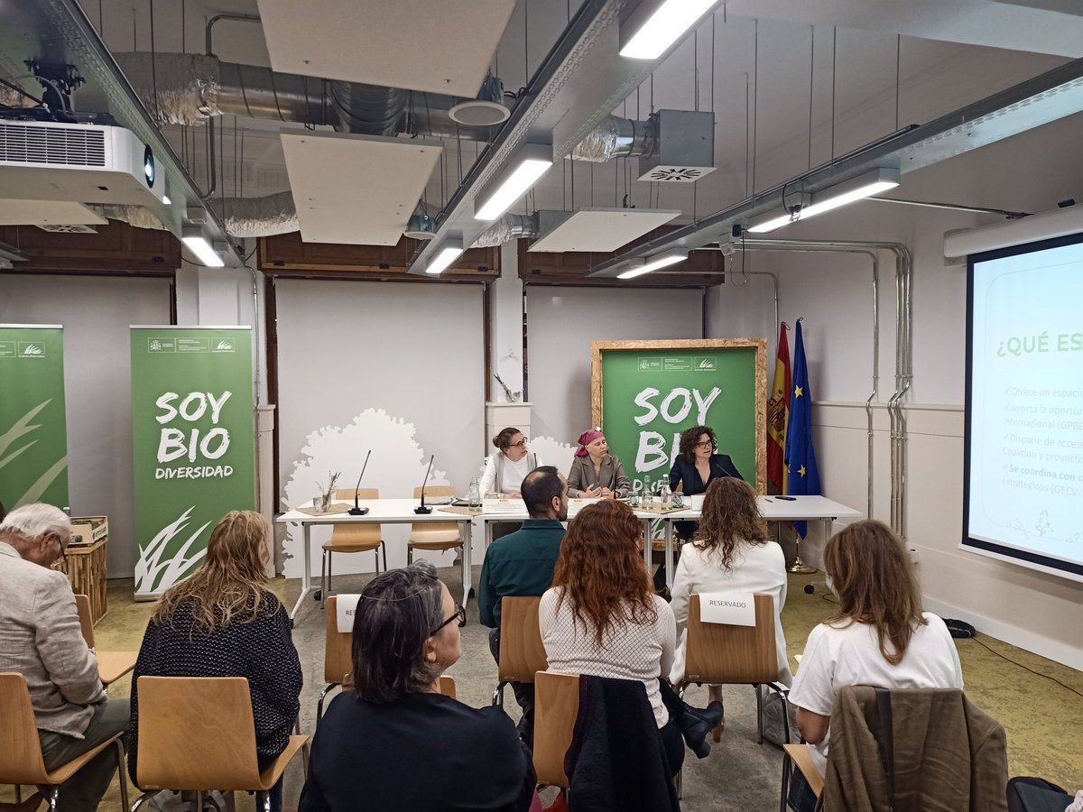 aeimmadera's tweet photo. Hoy estamos en la jornada Un mercado europeo libre de deforestación. Organizada por @FBiodiversidad . Participan @mitecogob @leroymerlin_es la empresa asociada @madinter @garnicaplywood y @mPINOSORIA https://t.co/GvP8DvxgX0