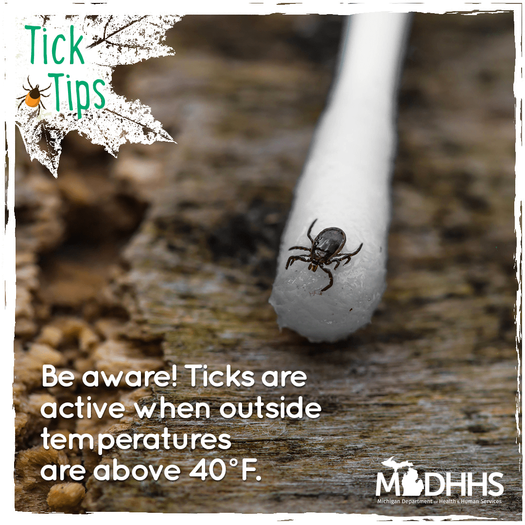 scriverstewards's tweet photo. April is when ticks are active! Ticks can be active when outdoor temperatures are at least 40°F.  Learn more prevention tips, how to remove a tick, and find tick identification help at https://t.co/ImIgSKEdFM. https://t.co/fiUNmHRNmD