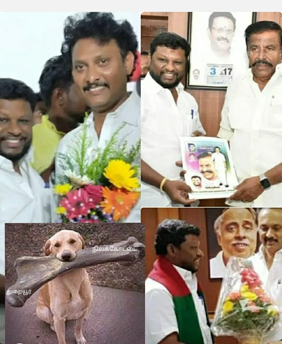 JohnKen61229347's tweet photo. திருட்டு திராவிடன் போடும் எலும்புத்துண்டுக்கு ஆசைப்பட்டு இனத்தை அசிங்கப்படுத்தும் இந்த நாதாரி பொன்.முருகேசனை எங்குபார்த்தாலும் செருப்பாலயே அடிங்க உறவுகளே..!!!😡😠😡
@PonMurugesan16👟👞👡

@mkstalin @Anbil_Mahesh @KN_NEHRU @KanimozhiDMK @Udhaystalin https://t.co/3JXmd19ECw