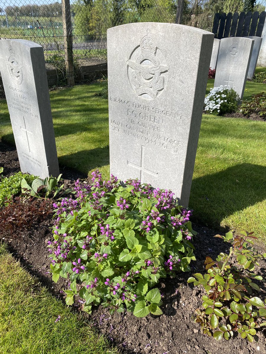MalcolmRossNI's tweet photo. Some nice Spring colour in the @CWGC borders in Irvinestown Church of Ireland Churchyard in County Fermanagh this morning https://t.co/BlHE7hTJGI