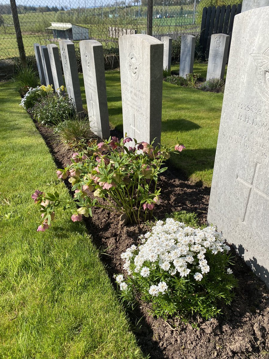 MalcolmRossNI's tweet photo. Some nice Spring colour in the @CWGC borders in Irvinestown Church of Ireland Churchyard in County Fermanagh this morning https://t.co/BlHE7hTJGI