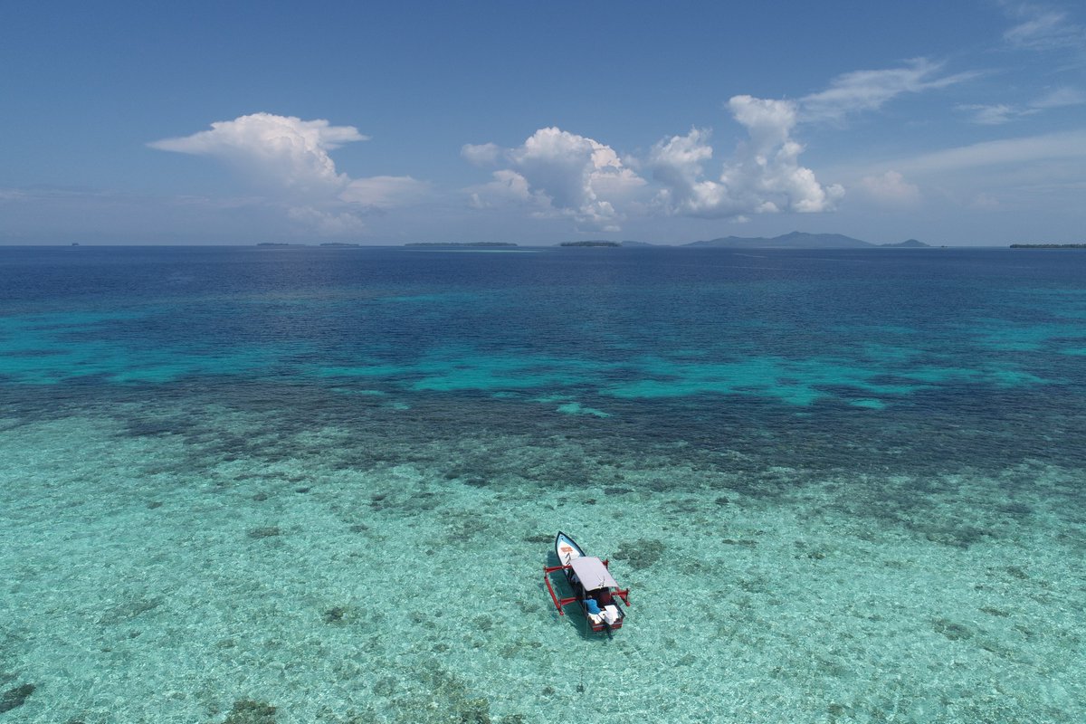 Thank you to the BKKPN <a href="/bkkpn_kupang/">BKKPN KUPANG</a> for allowing us to conduct research in the heart of the MPAs of Raja Ampat, including the no take areas #eDNA #marinemegafauna #marinemammals #marinemammalresearch #whale #dolphin #MantaRay #Mobulids #drones, multispectral #imagery <a href="/SelamatIJL/">SELAMAT International Joint Laboratory</a>