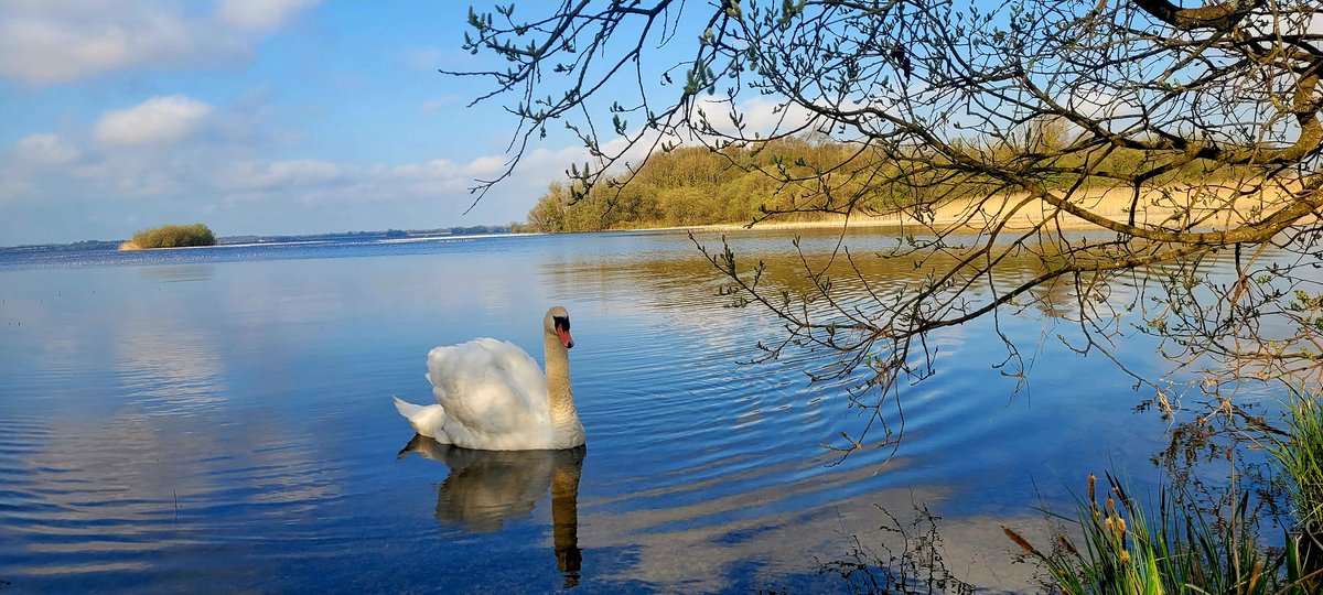Edgillwhl's tweet image. A lovely morning on the water with our #Airbnb guests @Mt_Briscoe at #LoughEnnell in Westmeath on 20 min drive from us .
#weekendbreak 
#Farmhouse #Holidays 
#KeepDiscovering 
#visitoffaly 
Mountbriscoe.ie
