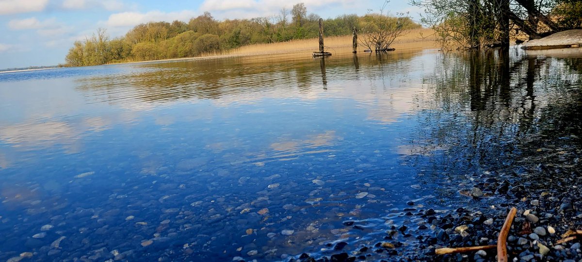 Edgillwhl's tweet image. A lovely morning on the water with our #Airbnb guests @Mt_Briscoe at #LoughEnnell in Westmeath on 20 min drive from us .
#weekendbreak 
#Farmhouse #Holidays 
#KeepDiscovering 
#visitoffaly 
Mountbriscoe.ie