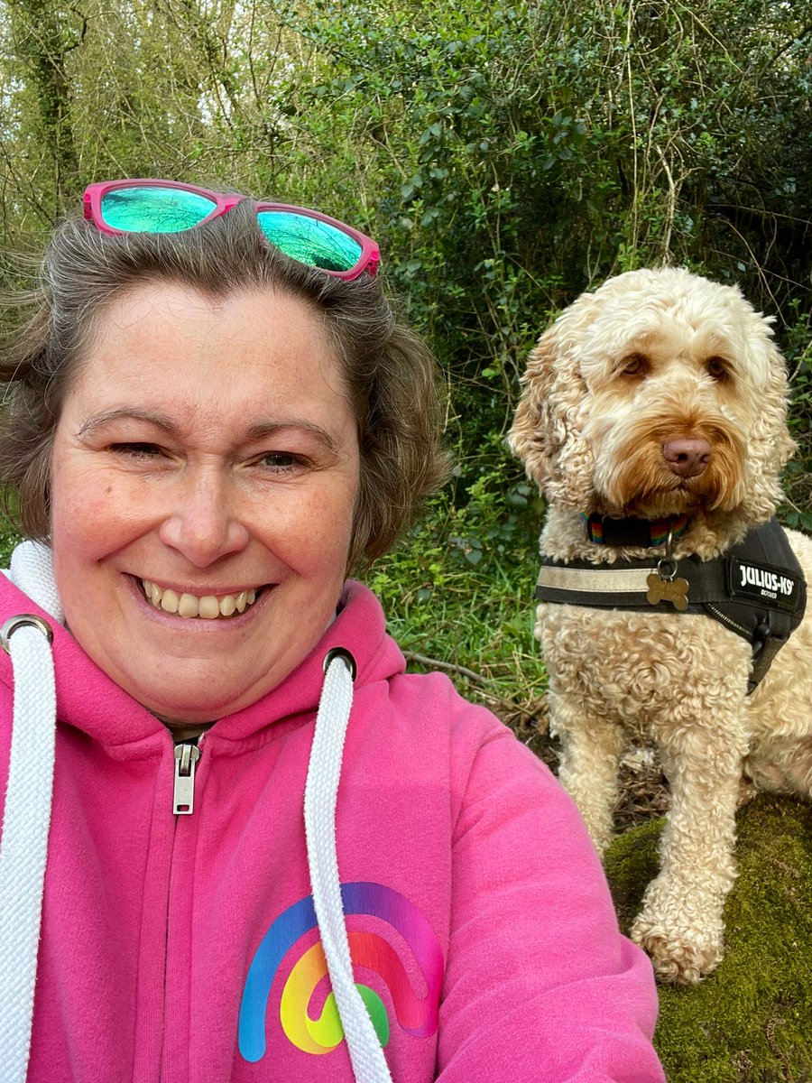 JaneSMatthews's tweet photo. Good morning from the hound and I. She’s been chasing squirrels through the bluebells, whilst I watched the nesting birds. And, it stayed dry for my run too. It’s another #winningfriday https://t.co/5y53HJQRXo