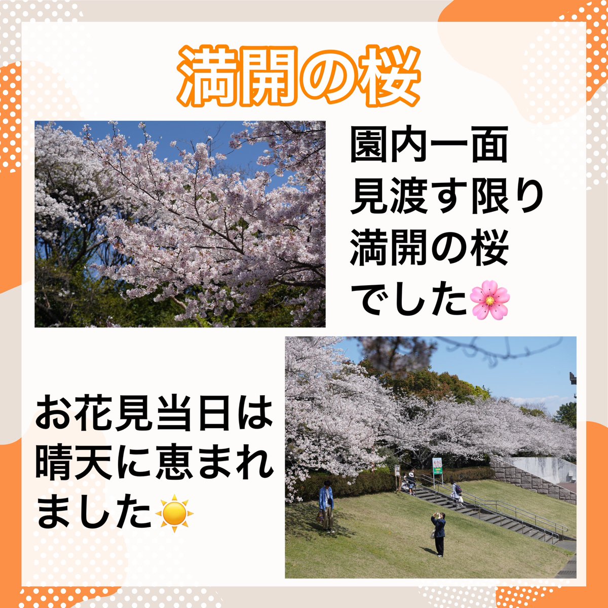InfiniCloud_co tweet picture