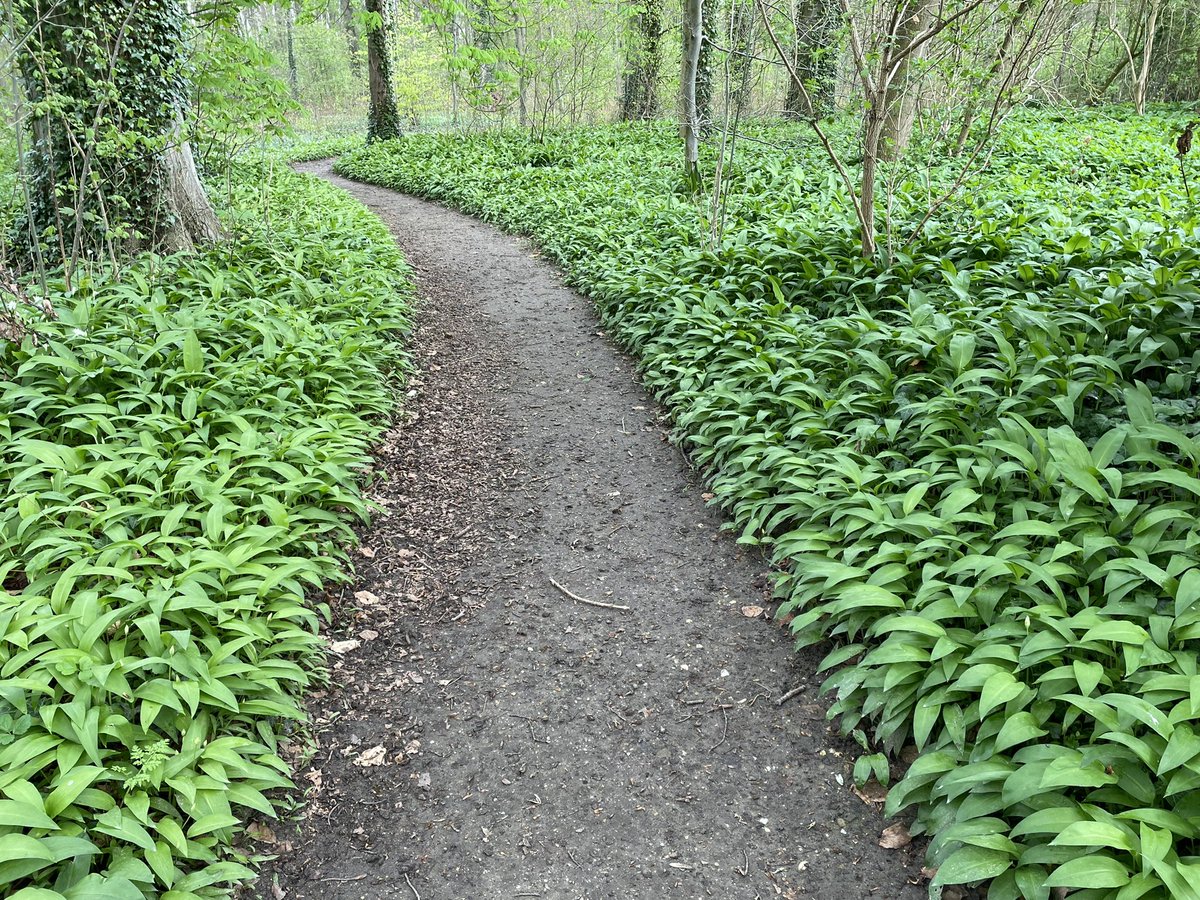 Hilde Backus tweet media