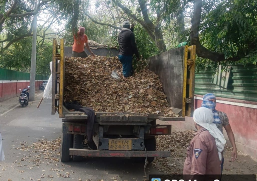 tweetndmc's tweet photo. #NDMC Horticulture team is continuously lifting dry leaves & horticulture waste to make New Delhi area neat & clean.
#SwachhSurvekahan2023
#BanonSingleUsePlastic
#SmartCityNDMC
@DeepaAthlete https://t.co/0CUKOvv2PG