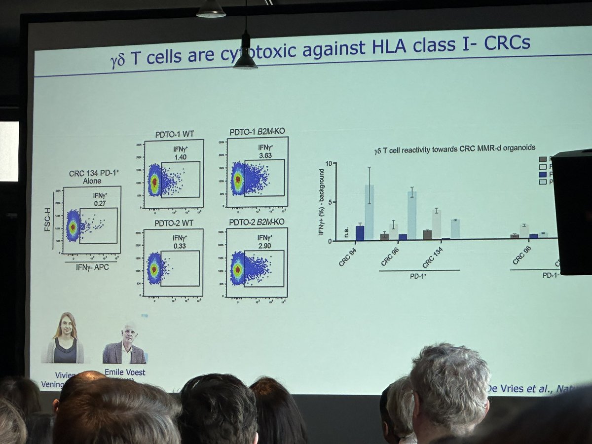 3) Dr. Noel de Miranda @NFdeMiranda #colon #cancer #CRC #immunology EXPERT @UniLeidenNews talks identifying gamma delta T cells (gdT) that are enriched and present in pts who respond to #CPI/potential to see HLA- tumors/ #TIMO2023 @sitcancer @CCAlliance @FightCRC