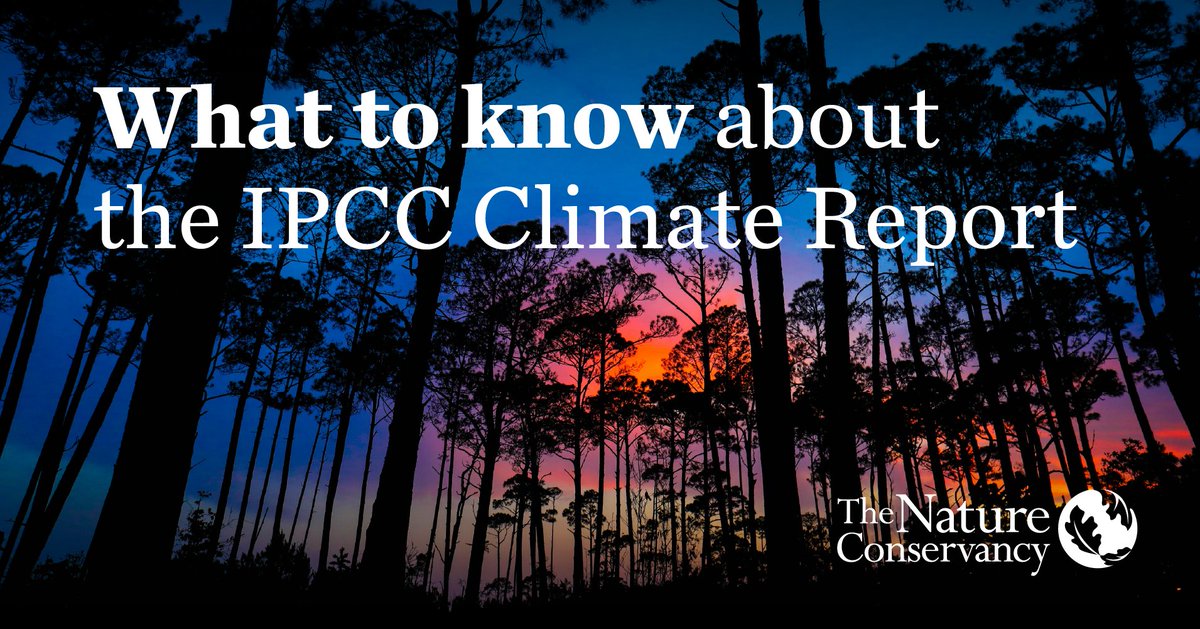 Seen the latest #IPCC #ClimateReport? 

We’ve broken down the key points for you here: bit.ly/3AiSOXq
