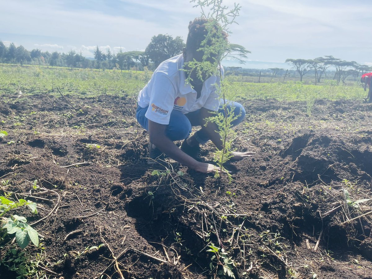FaithChela5's tweet photo. Spent an incredible day at @egertonunikenya agroforestry, planting 1500 trees to help combat climate change and promote biodiversity! Let's keep working together to create a more sustainable future for all @yfga_kenya #plantingtrees #climateaction @McfChs @ruforumsec https://t.co/BwBZLqLsQF
