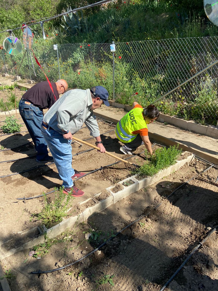 UDCCiudadLineal's tweet photo. Esta semana hemos estado en el CMM Luis Vives preparando el huerto con los y las mayores y el juego de petanca para disfrutarlo esta primavera. https://t.co/HzBlbLDhZg