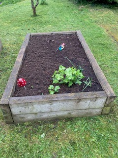 LittleStokePS's tweet photo. Thank you very much to @almondsburygc for the kind donation of compost to help prepare these planters for growing more vegetables. #LSPSlearning #HealthyFood #growyourown https://t.co/FrQ8m8Y8hq