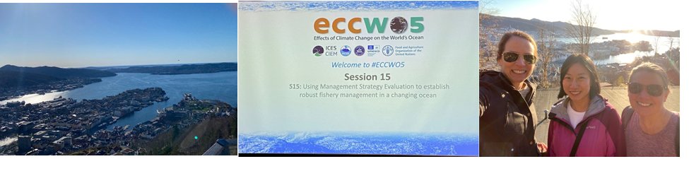 Dr. Lisa Kerr tweet media