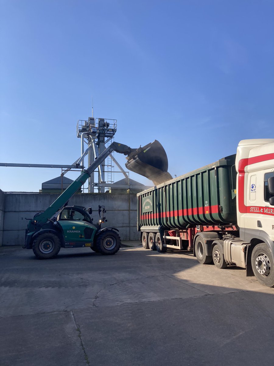 southeskmanager's tweet photo. Last load of @SaatenUk Bendix Rye being loaded for malting 🥃 through @GraincoS @Cefetra . We’ve trebled this crops area based on performance over light land and second wheats. Need to grow it shorter this year @agronomyben as it’s a bit of a mouthful for the @CLAAS_UK 8800 ! https://t.co/Z337G4tUDA